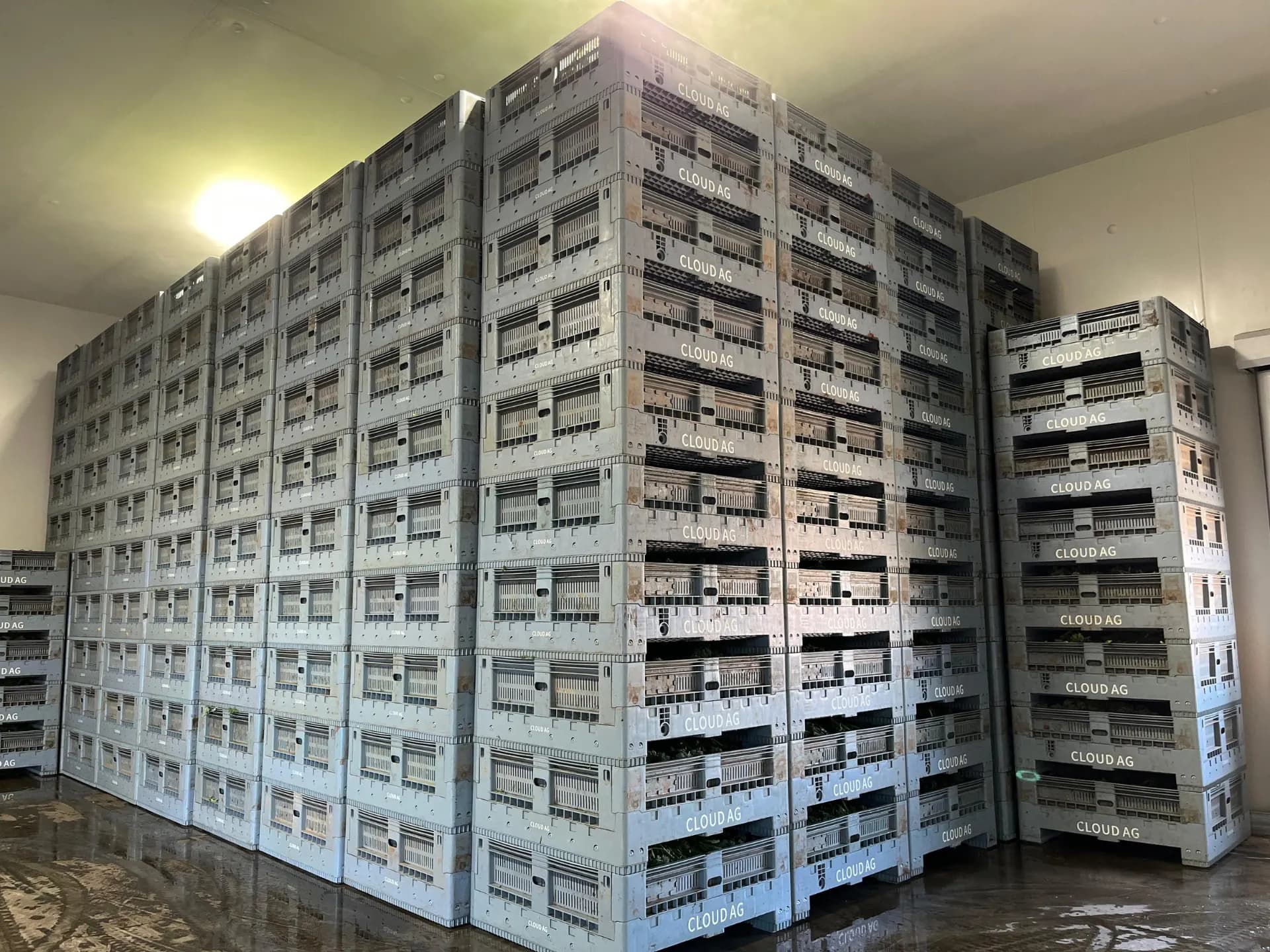 Eco Pallets New Zealand warehouse operations