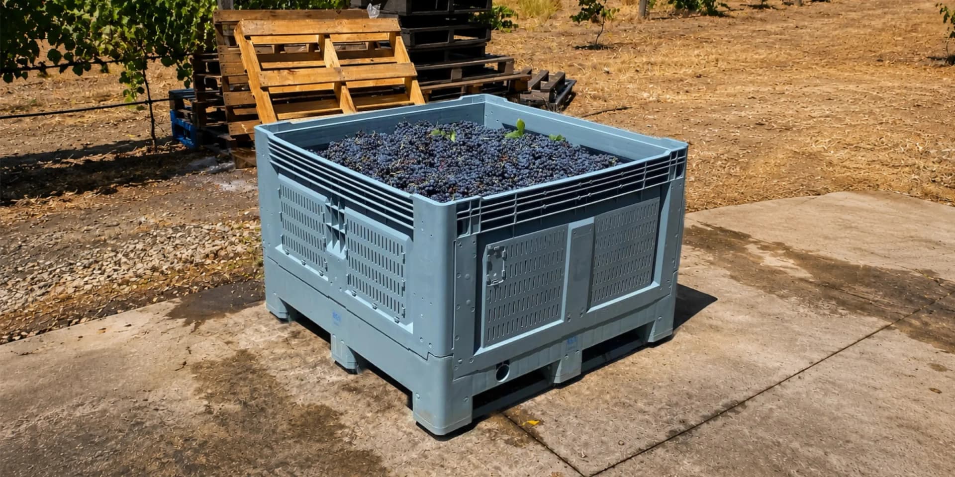 Agriculture — plastic pallets, crates and spill containment